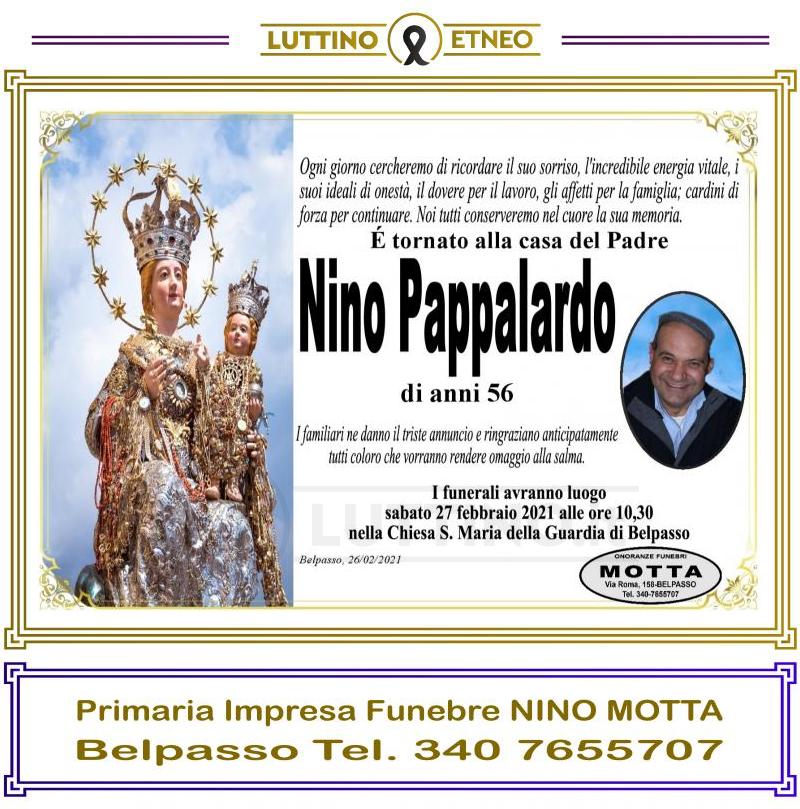 Nino  Pappalardo 